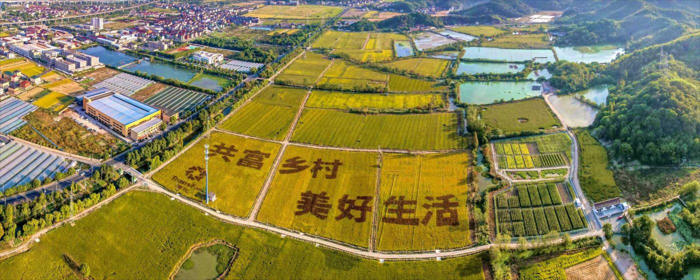 任你博·(中国)官方网站